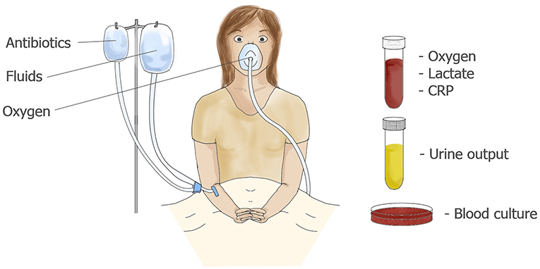 图2——一个疑似患者脓毒症可以静脉输液和氧气。
