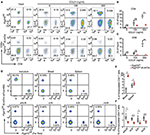 Frontiers | A Requirement of Protein Geranylgeranylation for Chemokine ...