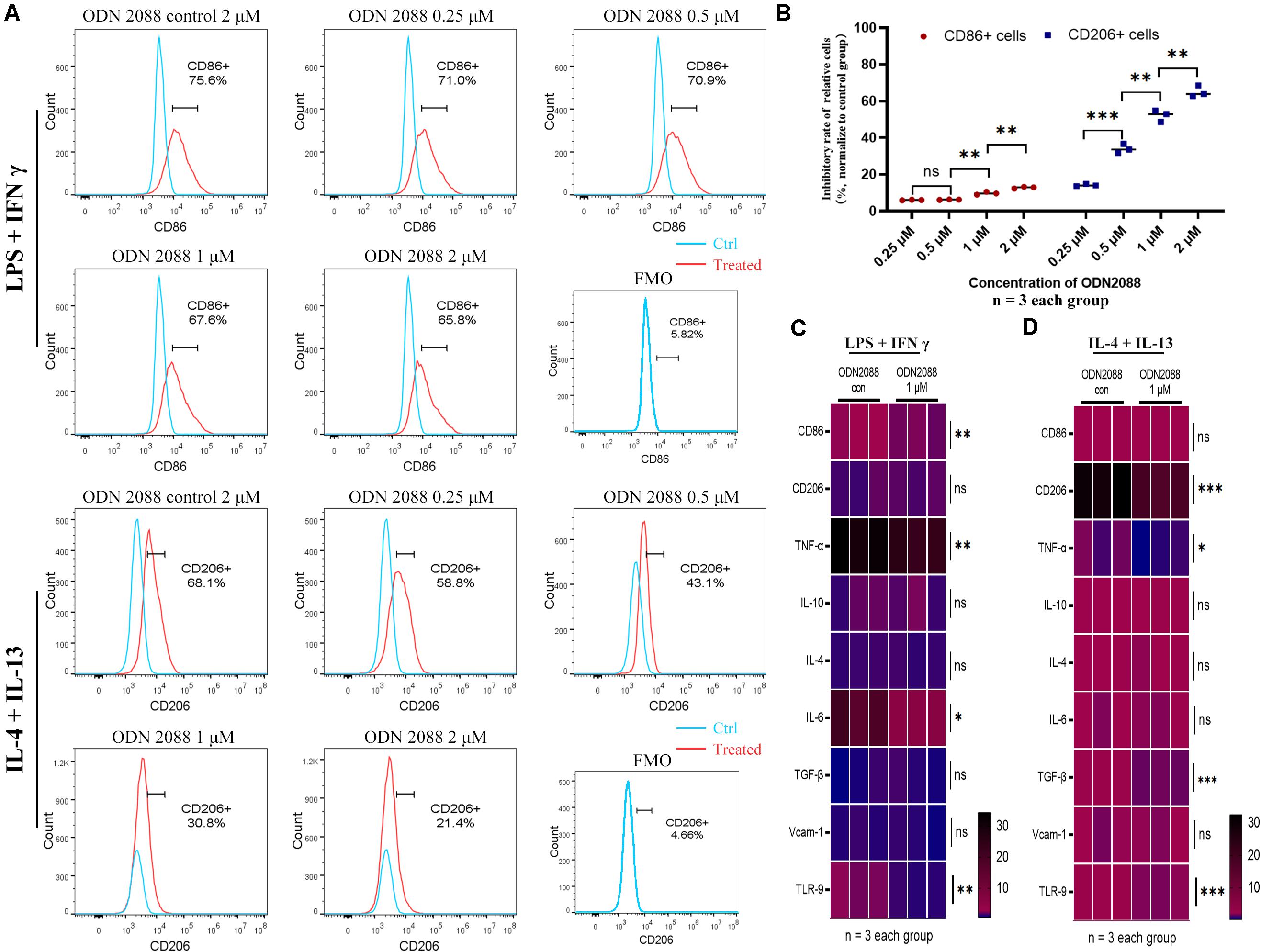 Frontiers | Depletion of Toll-Like Receptor-9 Attenuates Renal ...