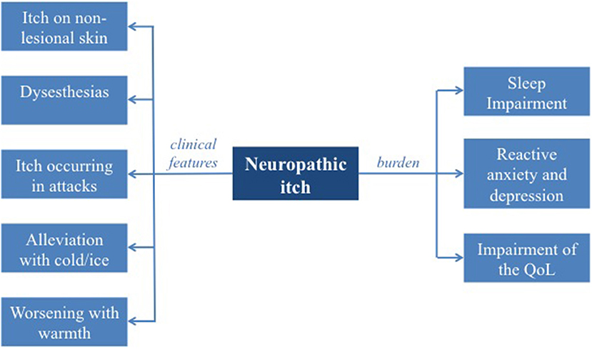 Frontiers Neuropathic Itch Routes To Clinical Diagnosis