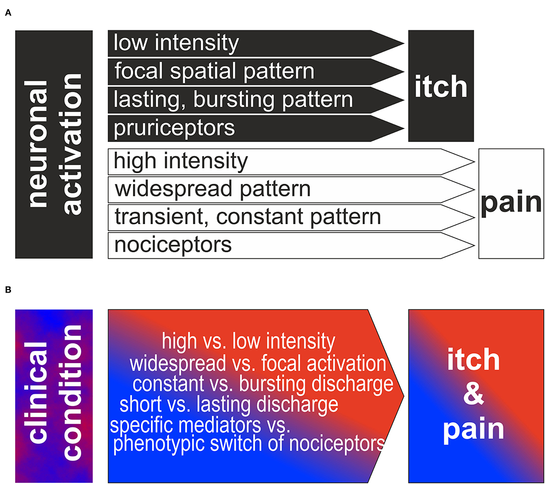Theories about levels of Itching, histamines, and finding relief