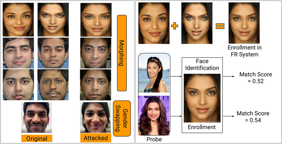 969px x 497px - Frontiers | MagNet: Detecting Digital Presentation Attacks on Face  Recognition