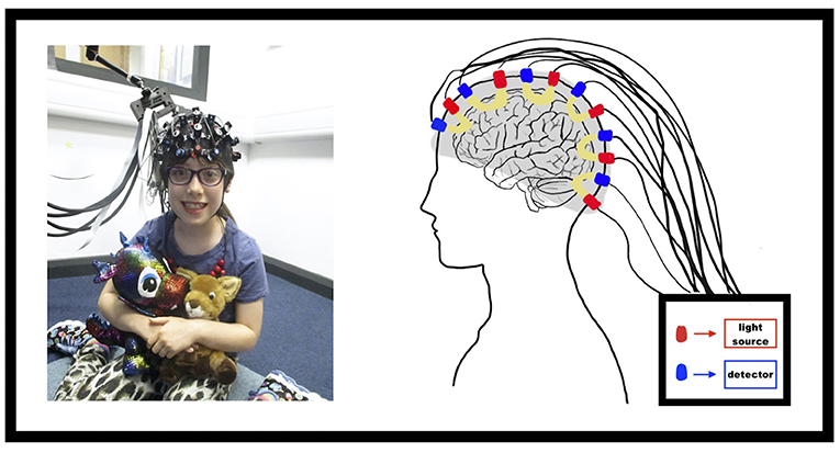图2 -为了使用fNIRS研究大脑，将一个带有光源和探测器的弹性帽放在孩子的头上。