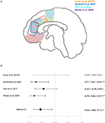 Frontiers | GABA, Glutamate and Neural Activity: A Systematic Review ...