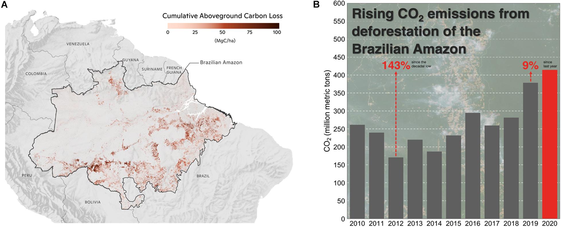Frontiers Beyond Deforestation Carbon Emissions From Land Grabbing And Forest Degradation In The Brazilian Amazon Forests And Global Change