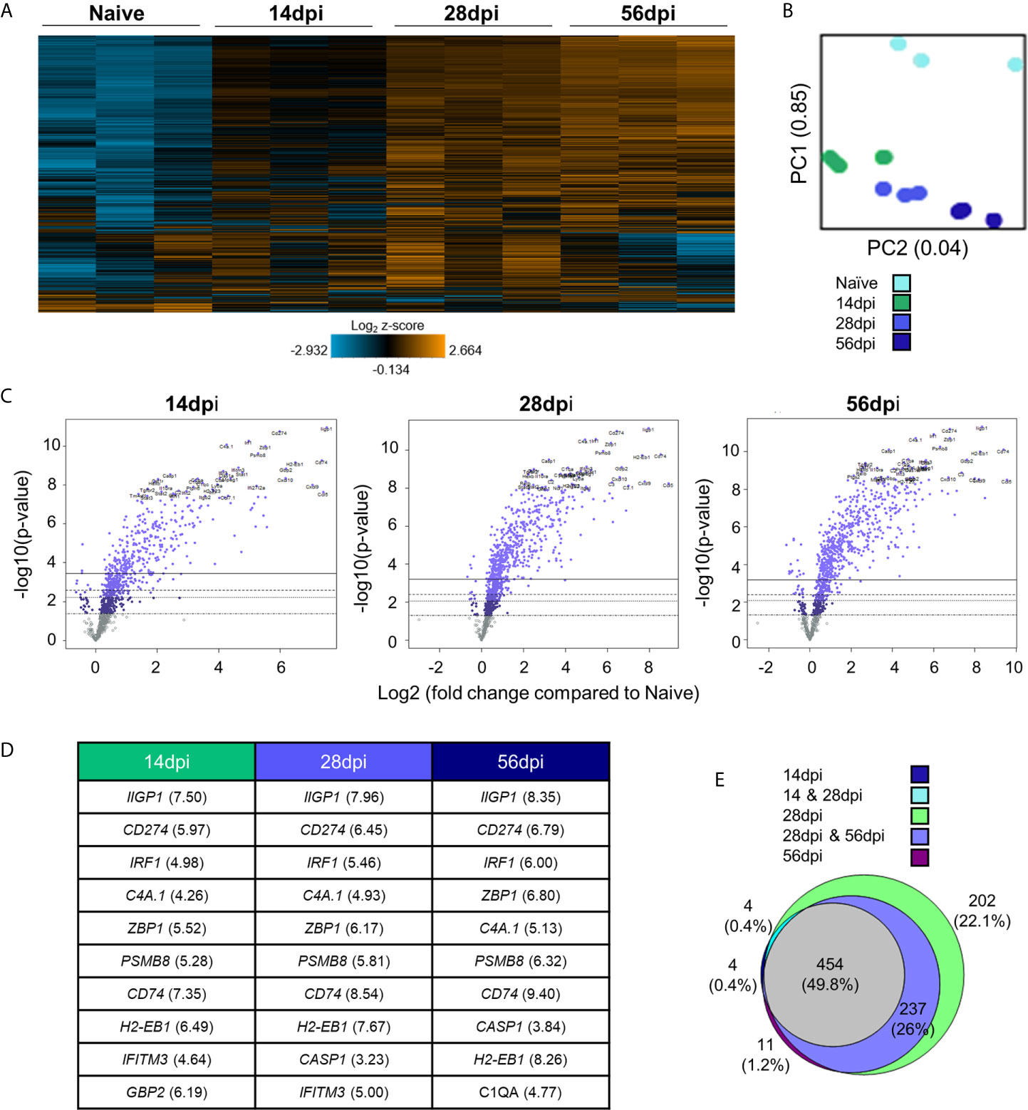 Frontiers Targeted Transcriptomic Analysis Of C57bl 6 And Balb C Mice During Progressive