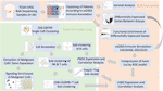 Frontiers | PNOC Expressed by B Cells in Cholangiocarcinoma Was ...