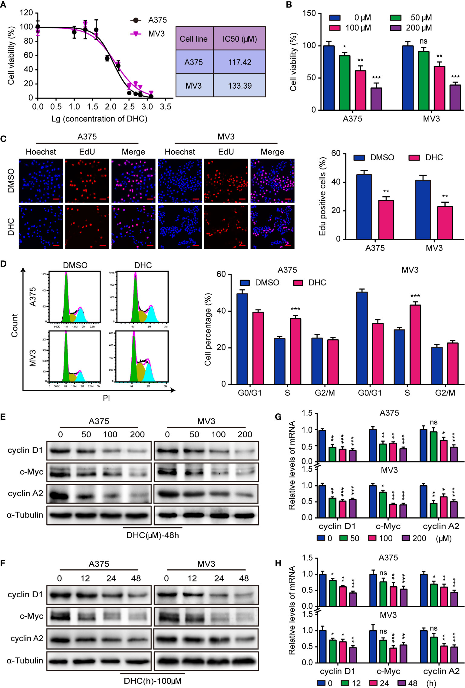 Frontiers Dihydrocapsaicin Inhibits Cell Proliferation And Metastasis In Melanoma Via Down Regulating B Catenin Pathway Oncology