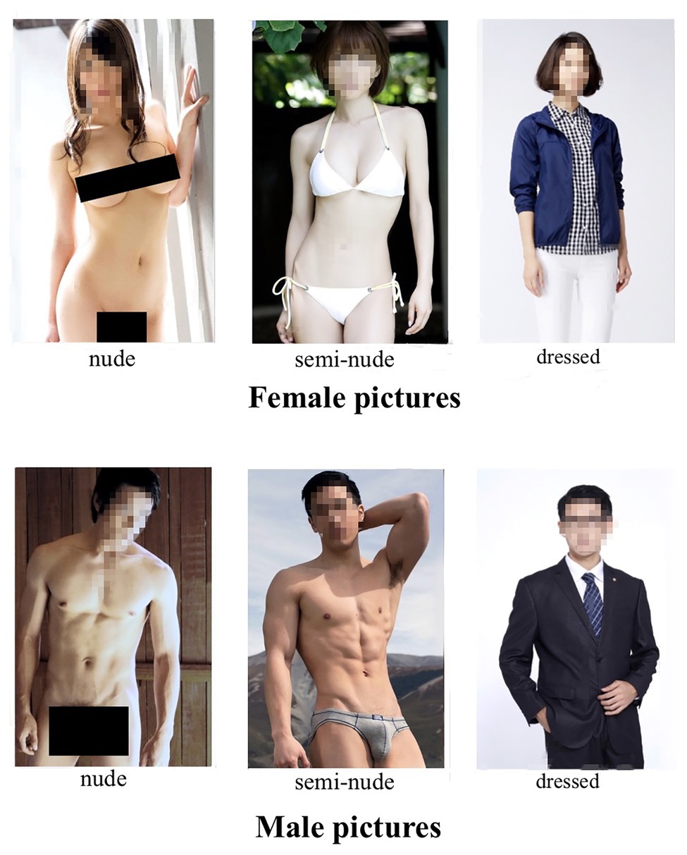German Electro Stim Asian - Frontiers | The East Asian Erotic Picture Dataset and Gender Differences in  Response to Opposite-Sex Erotic Stimuli in Chinese College Students