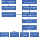 Frontiers | Prognostic Value of a Novel Signature With Nine Hepatitis C ...