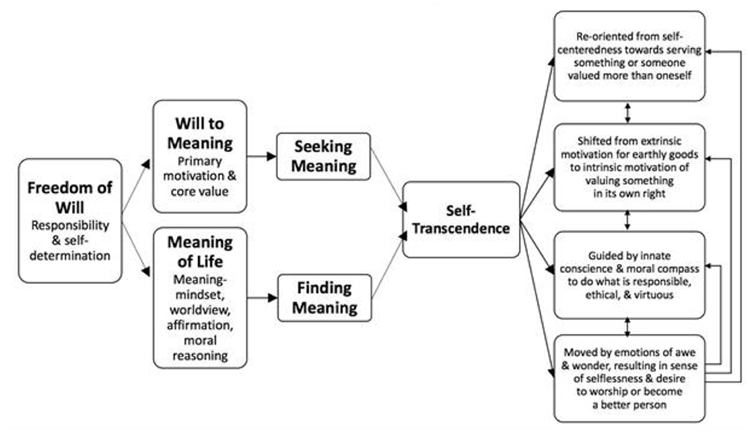 Frontiers Self Transcendence As A Buffer Against Covid 19 Suffering The Development And Validation Of The Self Transcendence Measure B Psychology
