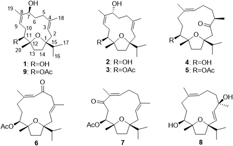 Frontiers Sacraoxides A G Bioactive Cembranoids From Gum Resin Of Boswellia Sacra Chemistry