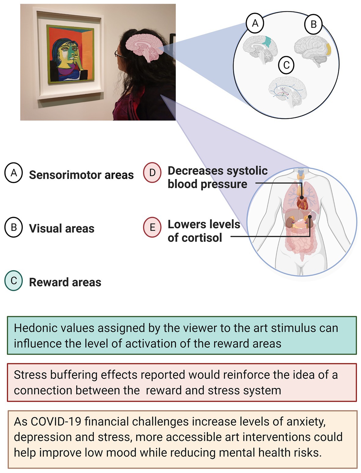 frontiers covid 19 and mental health could visual art exposure help psychology