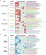 Frontiers | Investigating Transcriptional Dynamics Changes and Time ...