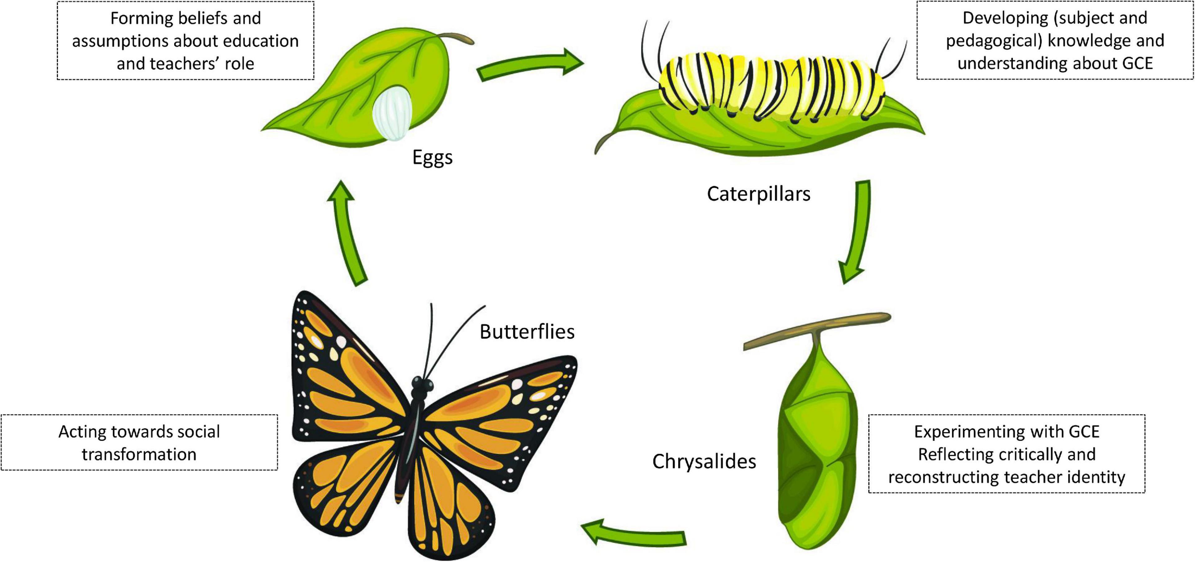 Frontiers | From Caterpillars to Butterflies: Exploring Pre-service ...
