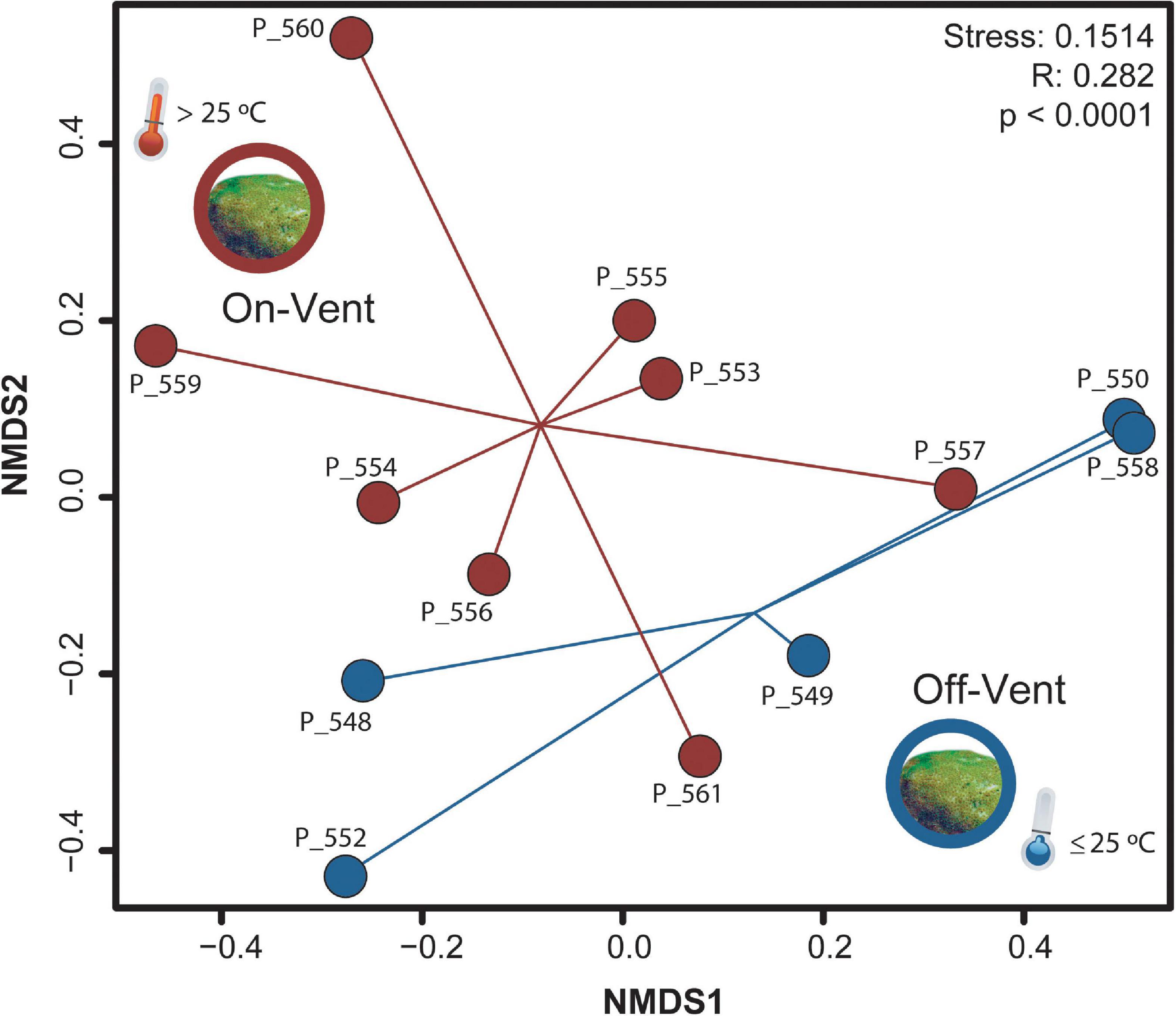 Enzyme adaptation to habitat thermal legacy shapes the thermal plasticity  of marine microbiomes