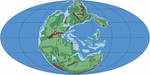 Frontiers | Bennettitalean Leaves From the Permian of Equatorial Pangea ...