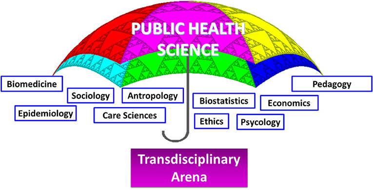research areas in public health