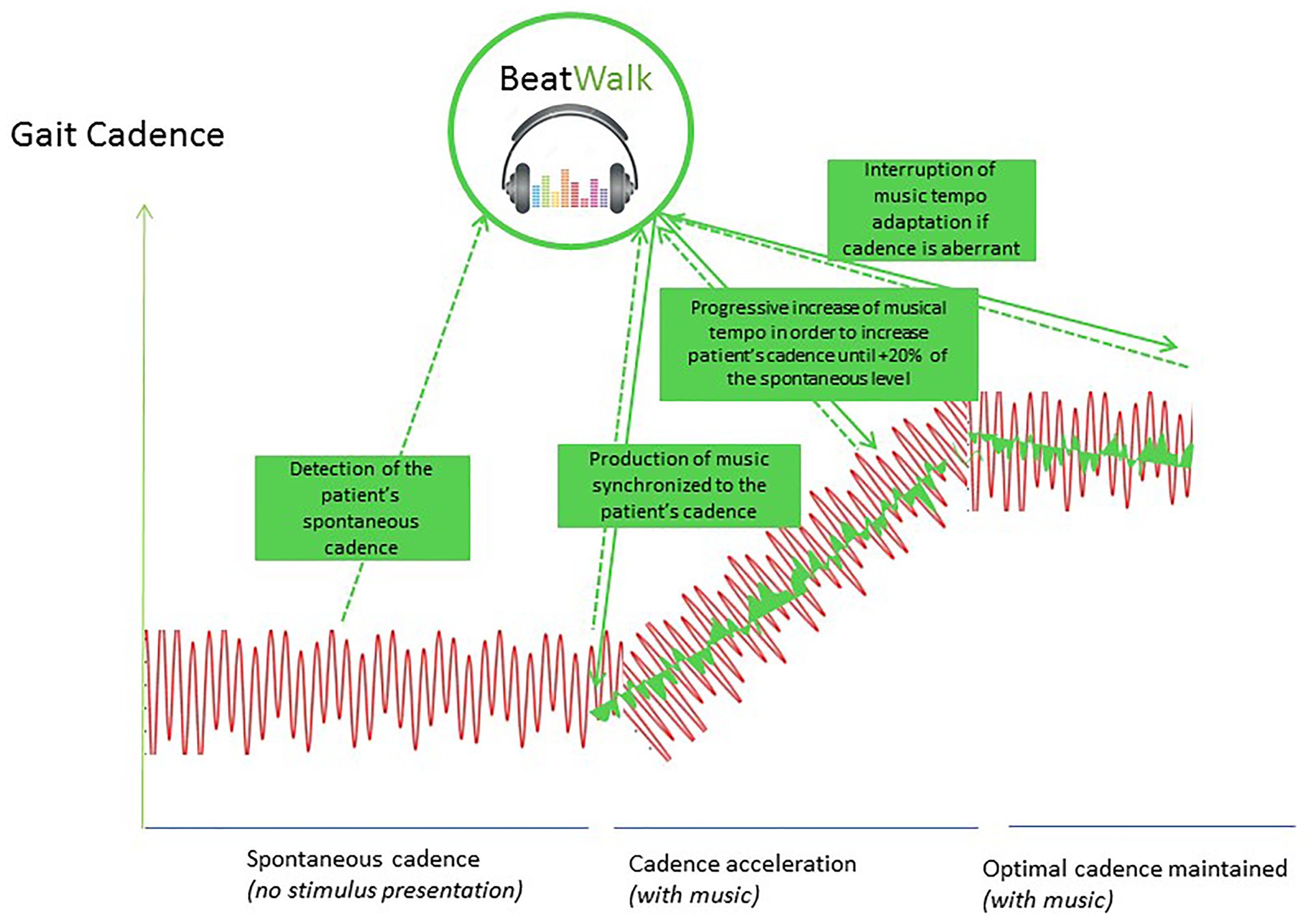 Frontiers  BeatWalk: Personalized Music-Based Gait Rehabilitation in  Parkinson's Disease