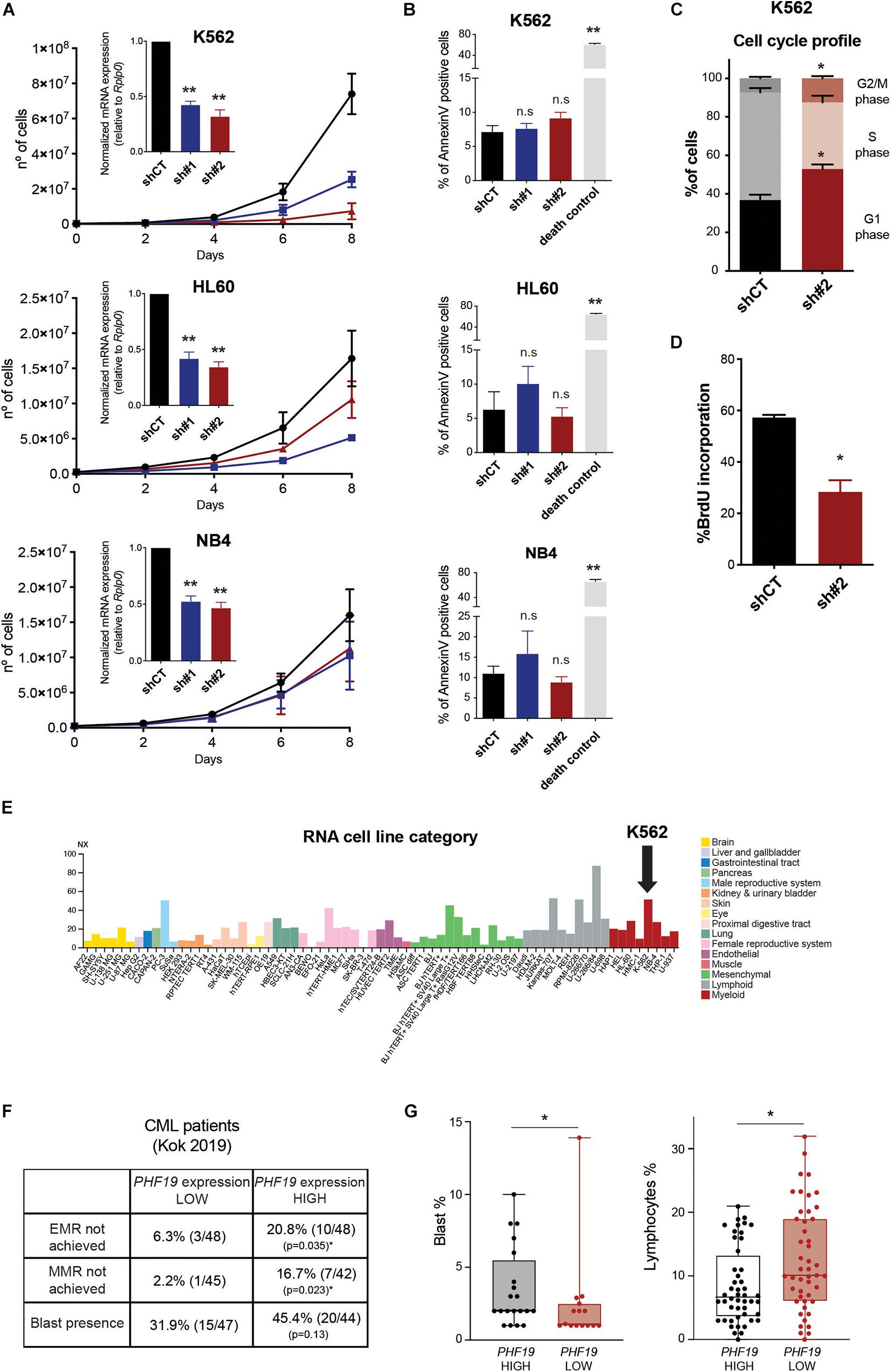 Frontiers Polycomb Factor Phf19 Controls Cell Growth And Differentiation Toward Erythroid Pathway In Chronic Myeloid Leukemia Cells Cell And Developmental Biology