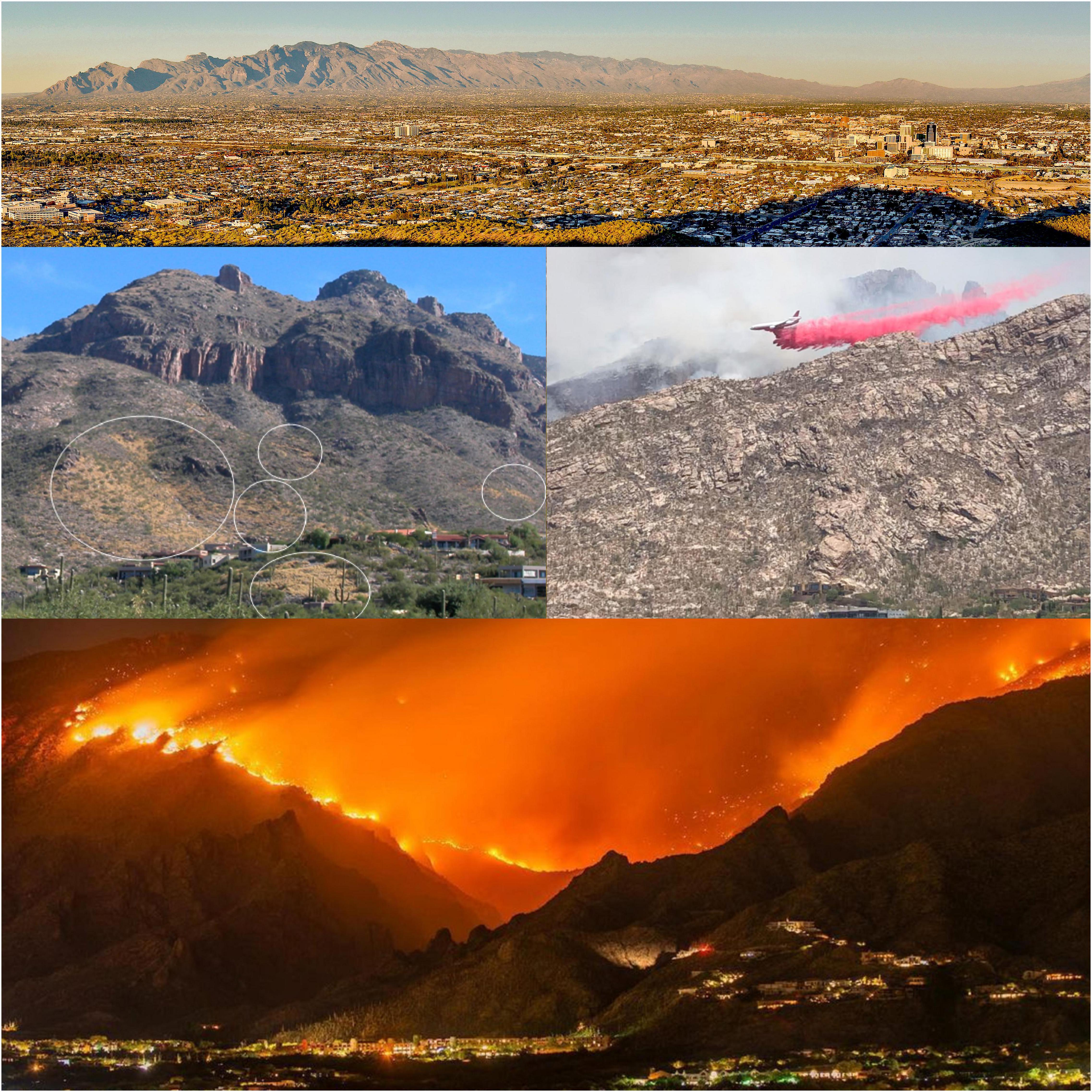 Frontiers | Grassification Desert, United Sonoran Fast-Evolving Risk Fire Connectivity States in the and and