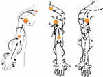 Frontiers | Study on the Design and Optimization of a Portable ...