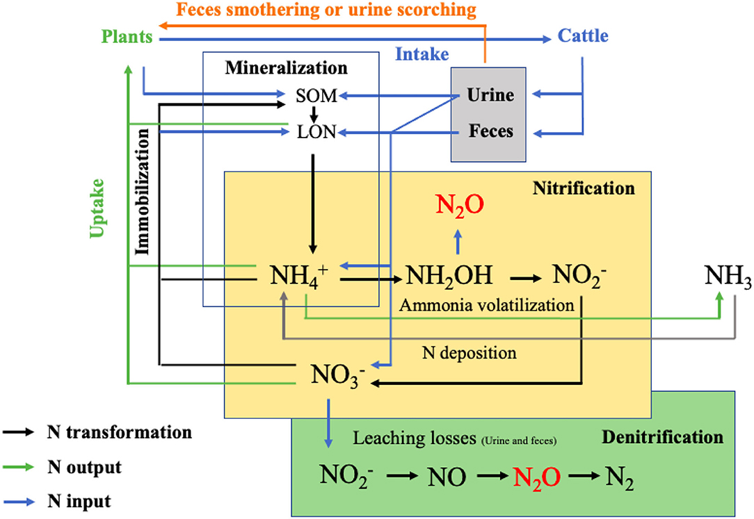 A review on nitrous oxide (N2O) emissions during biological
