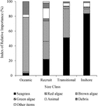 Frontiers Foraging Habits Of Green Sea Turtles Chelonia Mydas In