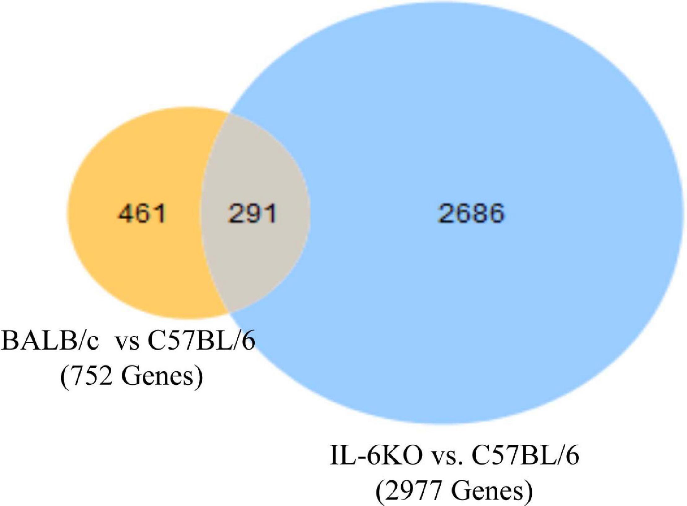 Frontiers Loss of Interleukin 6 Influences Transcriptional