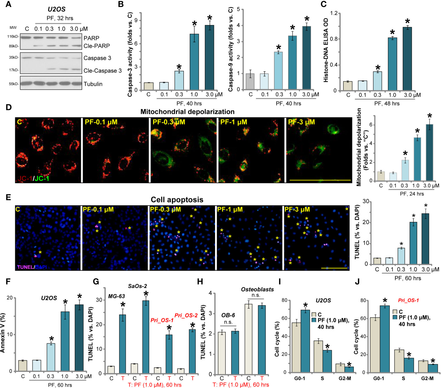 Frontiers | PF-06409577 Activates AMPK Signaling and Inhibits 