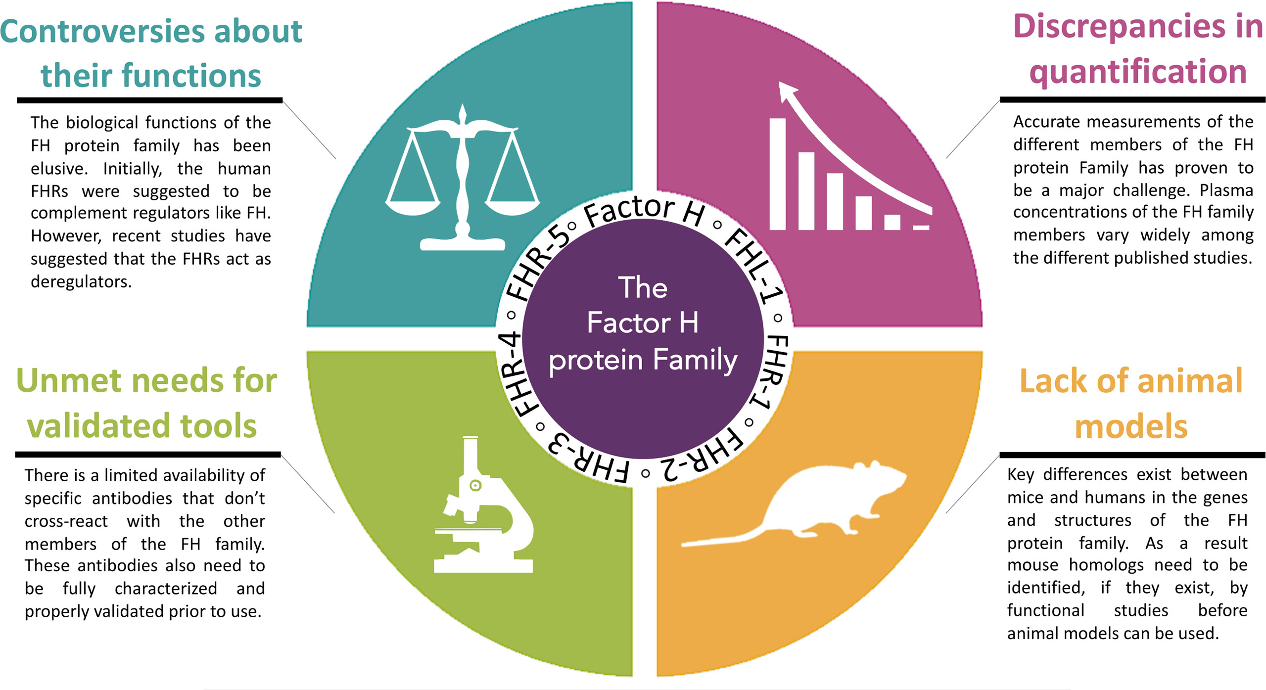 Frontiers A Family Affair Addressing The Challenges Of Factor H And The Related Proteins Immunology
