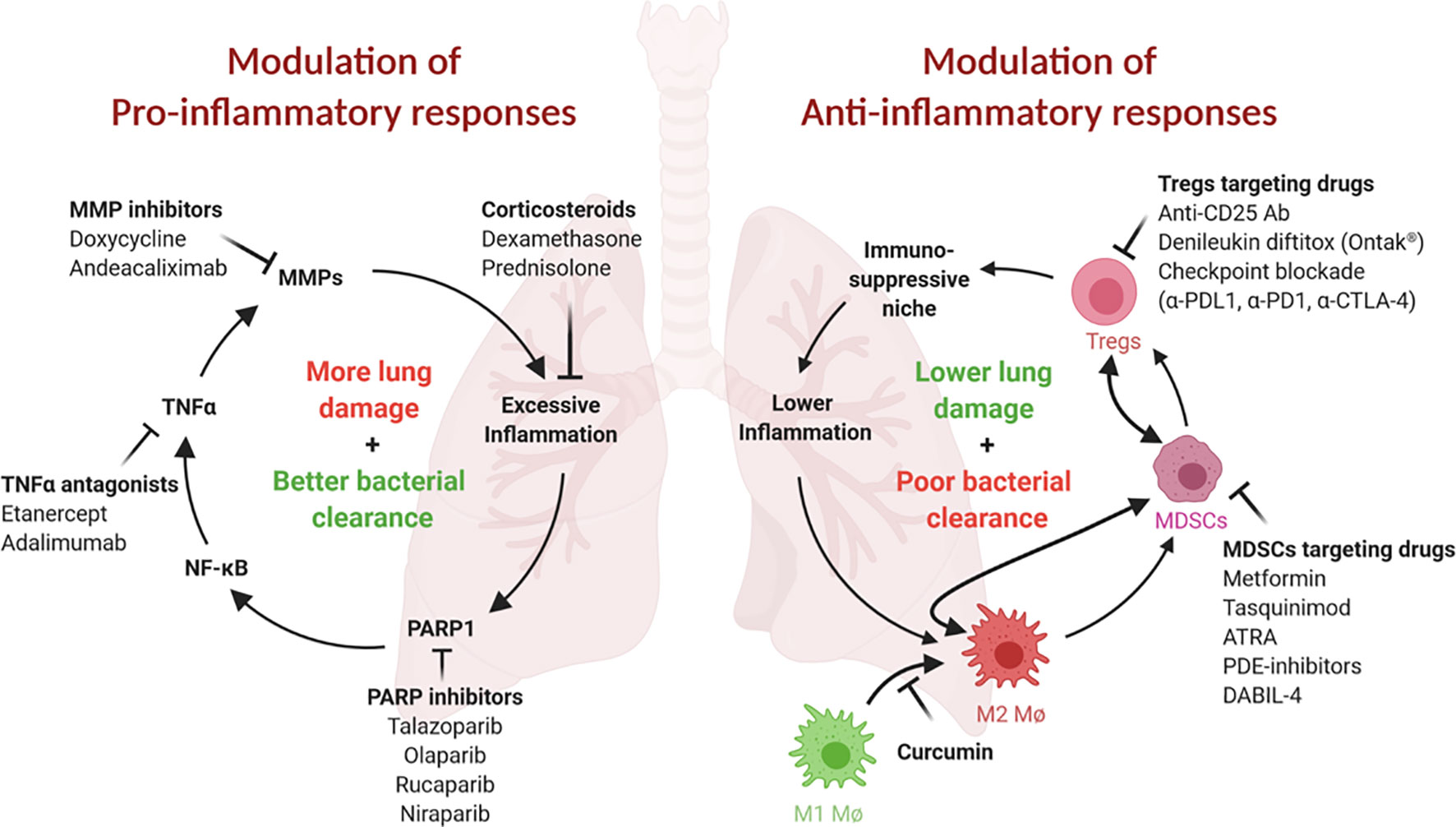 Frontiers Host Directed Therapies Modulating Inflammation To Treat Tuberculosis