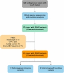 Frontiers | Heterozygous Recurrent Mutations Inducing Dysfunction of ...