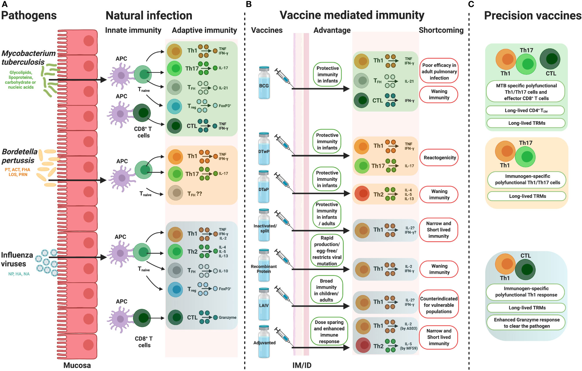 Frontiers Precision Vaccine Development Cues From Natural Immunity