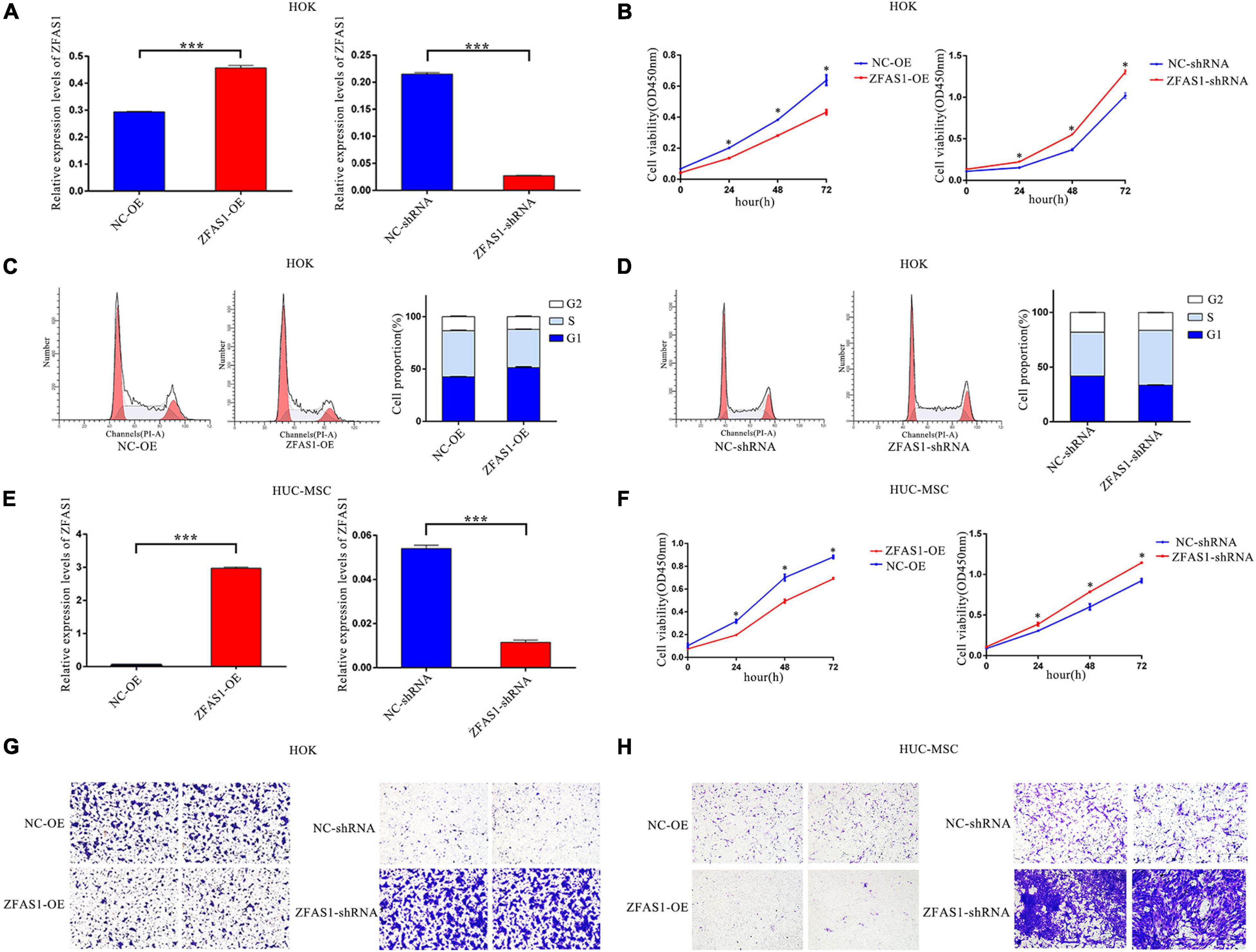 Frontiers | SP1-Mediated Upregulation of Long Noncoding RNA ZFAS1 