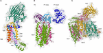 Frontiers | The Dynamic SecYEG Translocon | Molecular Biosciences