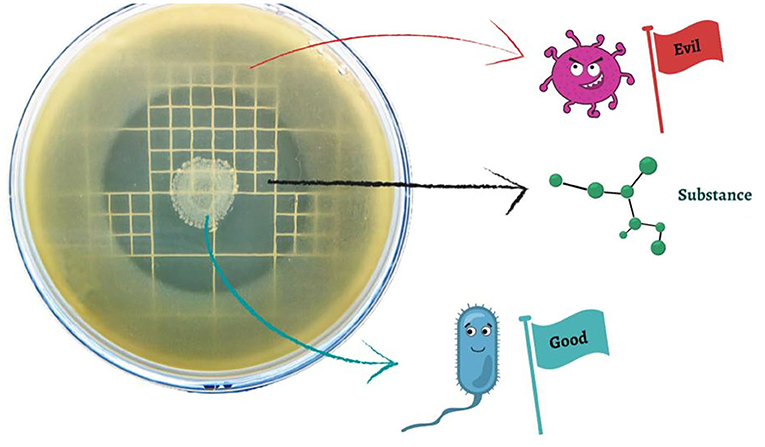 图2 - sponge-associated细菌产生的一些物质可以杀死病原体。