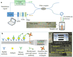 Frontiers | A New Optical Fiber Probe-Based Quantum Dots ...