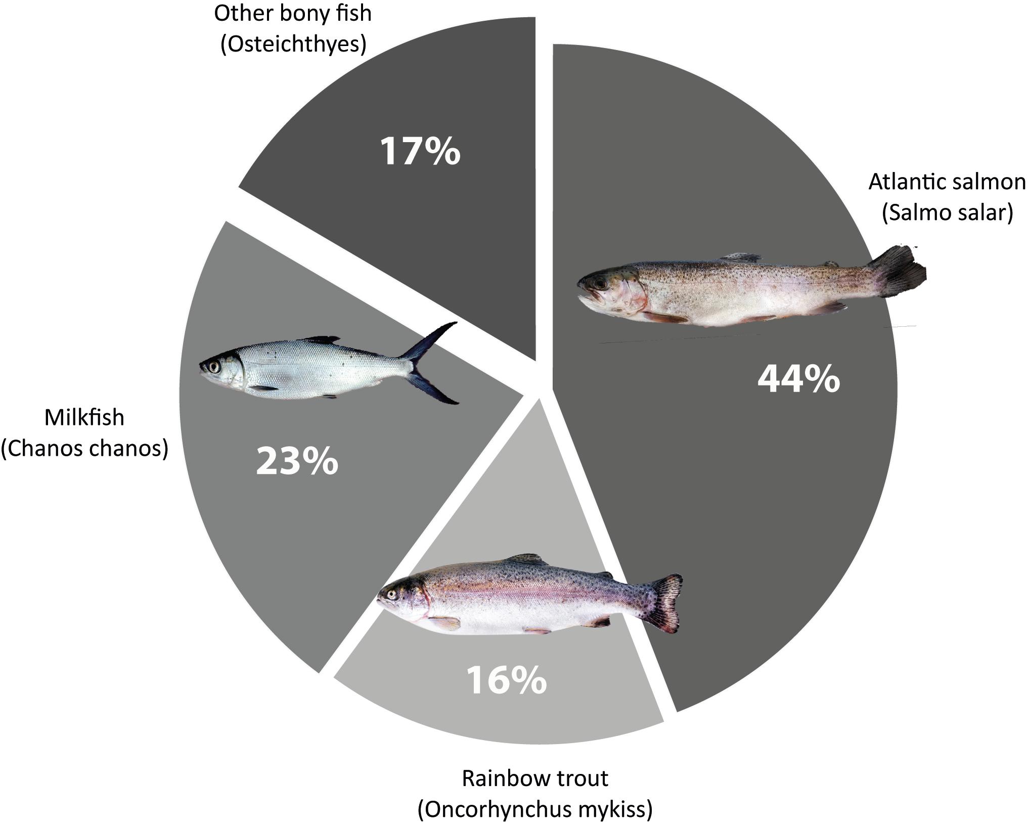 Frontiers  Towards Environmental Sustainability in Marine Finfish