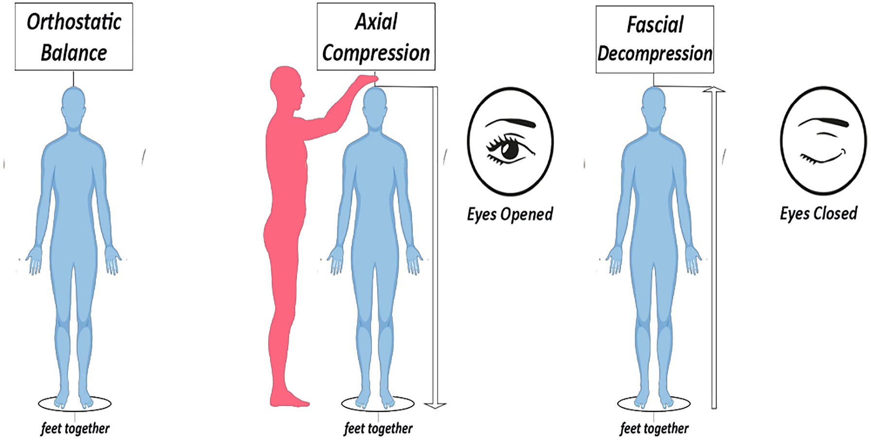 Open and closed posture.  Download Scientific Diagram