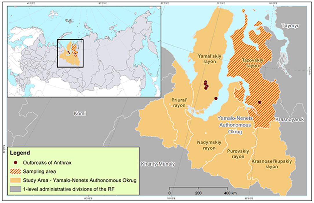 Frontiers Reindeer Anthrax In The Russian Arctic 2016 Climatic Determinants Of The Outbreak 3152