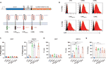 Frontiers | CAR Macrophages for SARS-CoV-2 Immunotherapy | Immunology