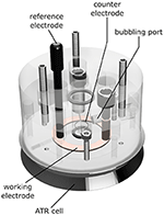 Frontiers | Quantification of Local Electric Field Changes at the ...