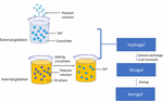 Frontiers | A Pathway From Porous Particle Technology Toward Tailoring ...