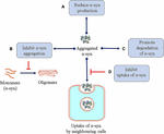 Frontiers | “Janus-Faced” α-Synuclein: Role in Parkinson’s Disease ...