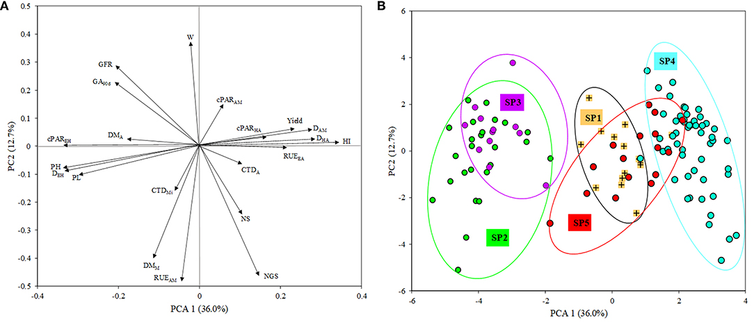 Frontiers | Agronomic, Physiological and Genetic Changes 