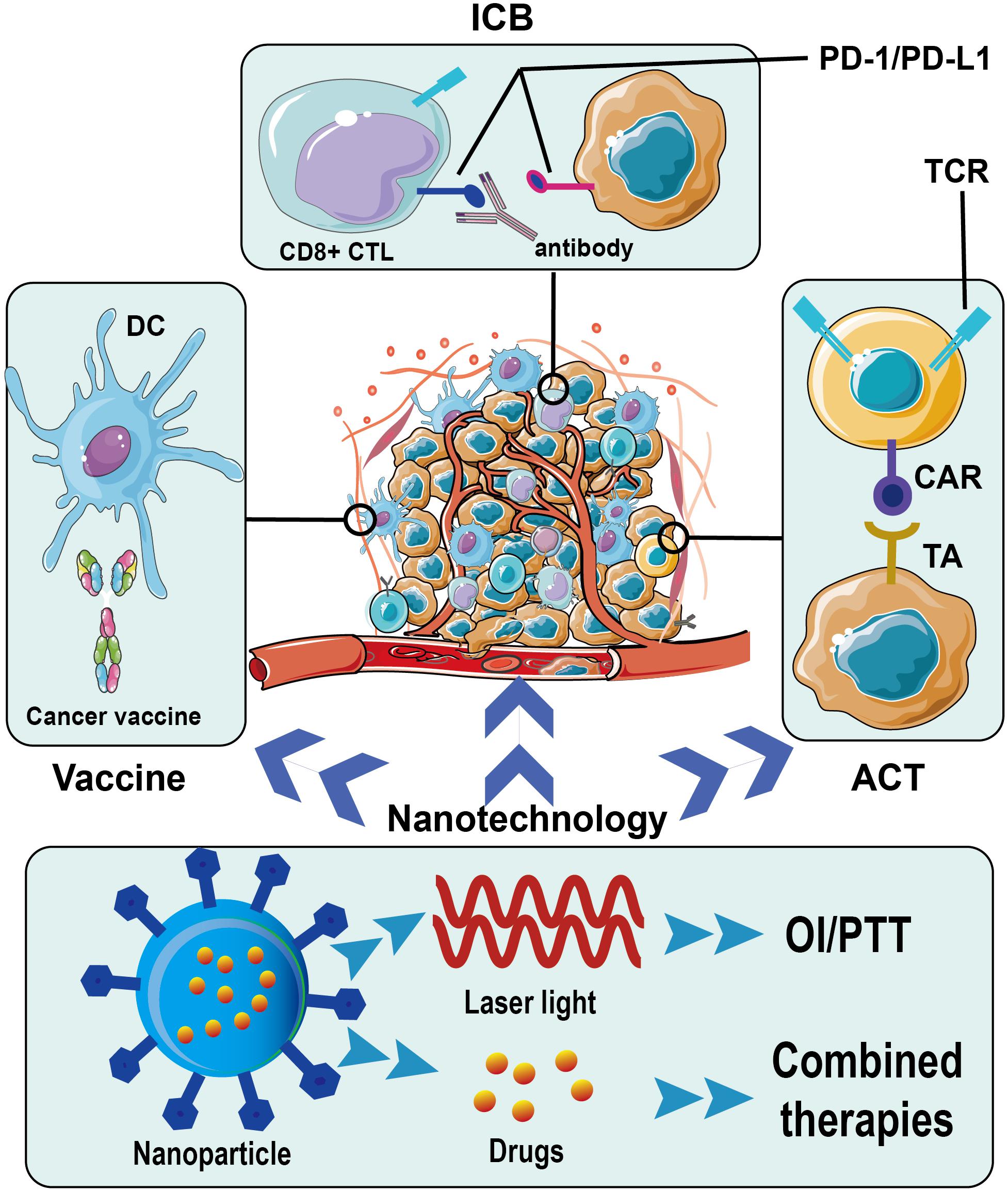 current research on cancer immunotherapy