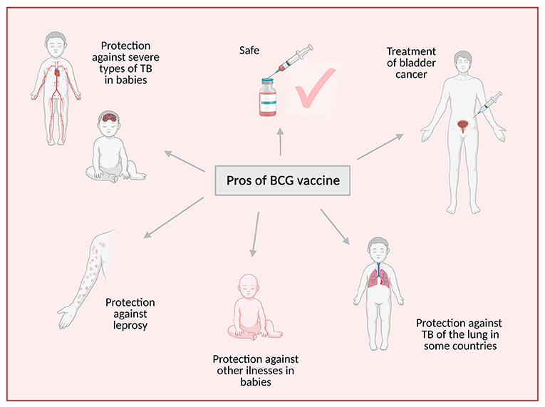 One Hundred Years Of BCG The World s Most Widely Used Vaccine 