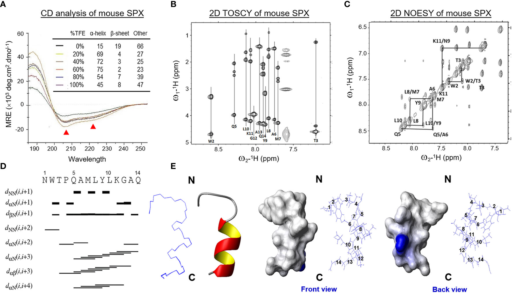 Frontiers | Mouse Spexin: (I) NMR Solution Structure, Docking 