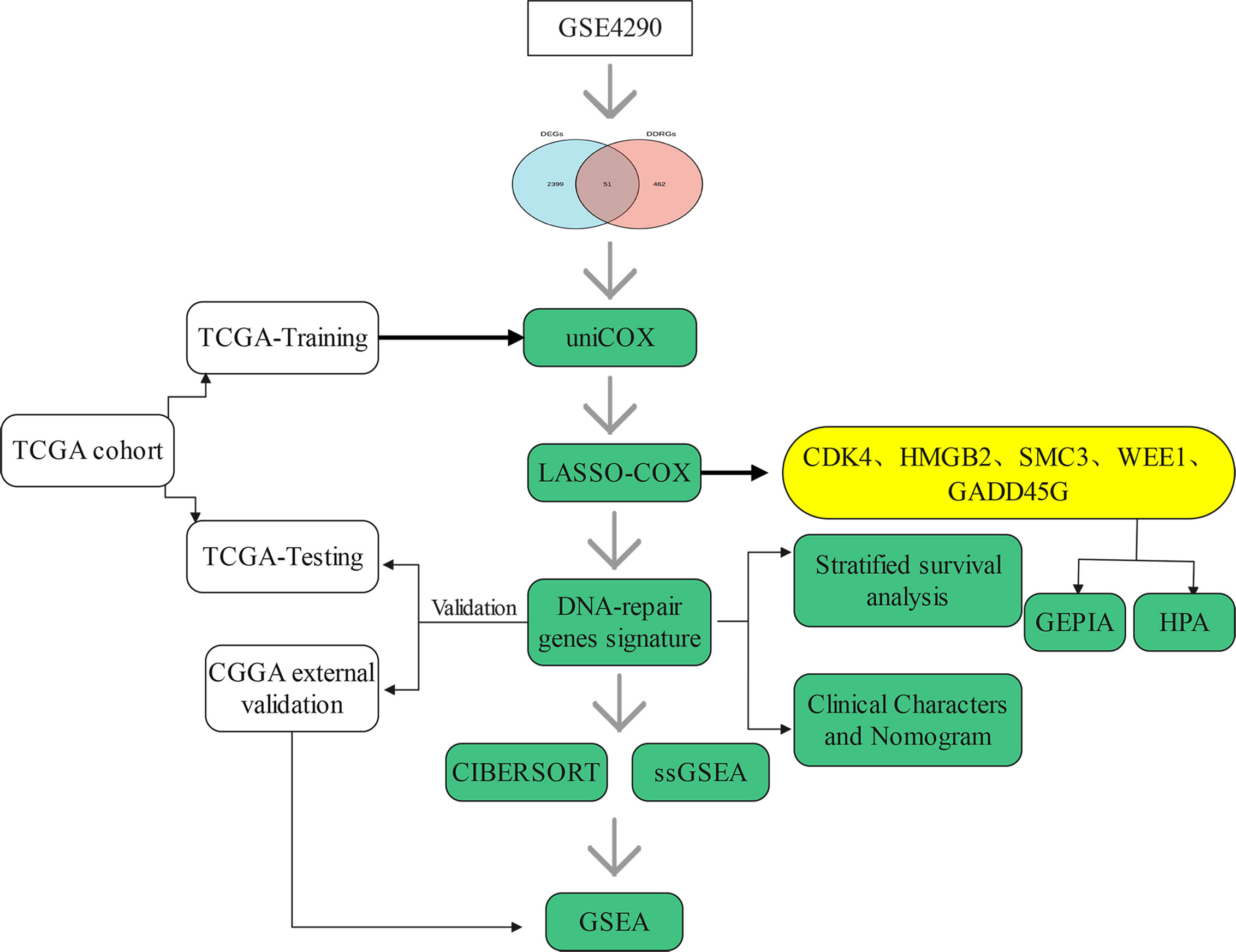 Frontiers | A Prognostic DNA Damage Repair Genes Signature and Its 